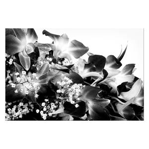 Tableau déco Orchid Blossoms Noir - Blanc