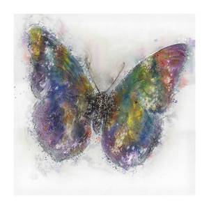 Bild Schmetterling I Multicolor - Kunststoff - Holz teilmassiv - 80 x 80 x 3.8 cm