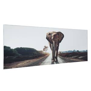 Digitaal bedrukte spiegel Taira Olifant Grijs - Glas - 140 x 50 x 0.3 cm