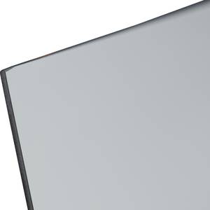 Digitaldruckspiegel Taira Elefant Grau - Glas - 140 x 50 x 0.3 cm