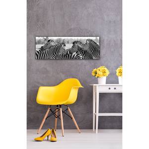 Digitaldruckspiegel Zebra Schwarz - Glas - 140 x 50 x 0.3 cm