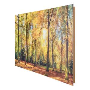 Deko-Panel Grap Light Gelb - Holzwerkstoff - 100 x 50 x 2 cm