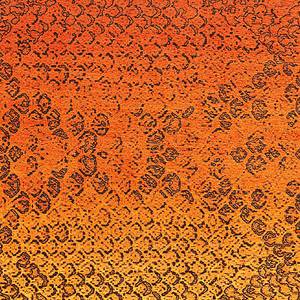 Tapis Flash Oloy Fibres synthétiques - Orange - 120 x 170 cm