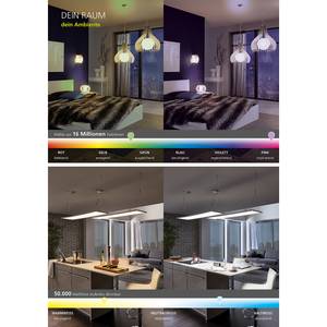 LED-wandlamp Verlucca glas / staal - 1 lichtbron