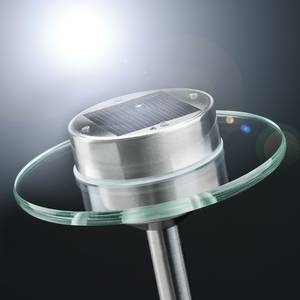 LED-padverlichting Ufo veiligheidsglas / roestvrij staal - 1 lichtbron