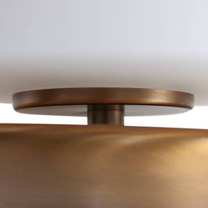 Lampe LED Ancilla IV Verre / Acier - 1 ampoule - Doré