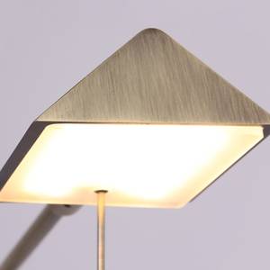 LED-staande lamp Retina I ijzer -  lichtbronnen