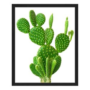 Tableau déco Cactus Hêtre massif / Plexiglas - 42 x 52 cm