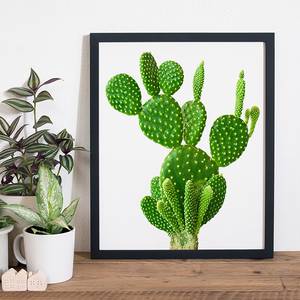 Afbeelding Cactus Massief beukenhout/plexiglas - 42 x 52 cm