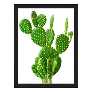 Bild Cactus Buche massiv / Plexiglas - 32 x 42 cm