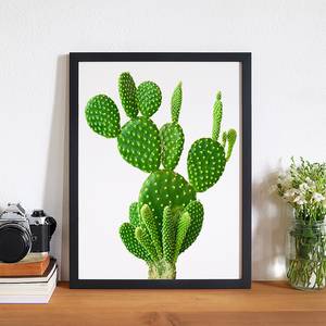 Afbeelding Cactus Massief beukenhout/plexiglas - 32 x 42 cm