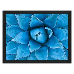 Tableau déco Blue Agave Hêtre massif / Plexiglas - 42 x 32 cm