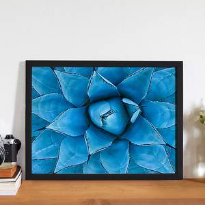 Bild Blue Agave Buche massiv / Plexiglas - 42 x 32 cm