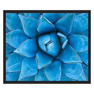 Afbeelding Blue Agave Massief beukenhout/plexiglas - 62 x 52 cm