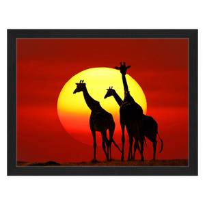 Afbeelding Sunset Giraffes Silhouette Massief beukenhout/plexiglas - 42 x 32 cm
