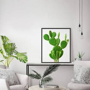 Afbeelding Cactus Massief beukenhout/plexiglas - 52 x 62 cm