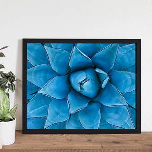 Bild Blue Agave Buche massiv / Plexiglas - 52 x 42 cm