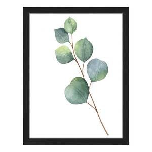 Afbeelding Eucalyptus Massief beukenhout/plexiglas - 32 x 42 cm