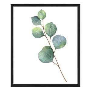 Bild Eucalyptus Buche massiv / Plexiglas - 52 x 62 cm