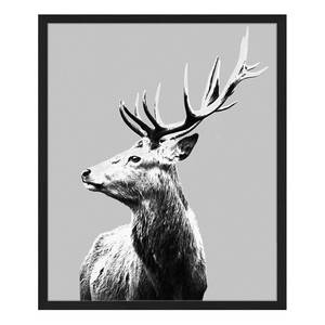 Afbeelding Red Deer Massief beukenhout/plexiglas - 52 x 62 cm