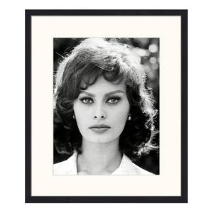 Bild Sophia Loren Buche massiv / Plexiglas - 52 x 62 cm