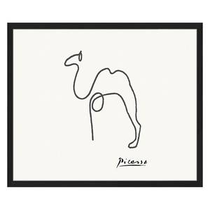 Bild Camel Buche massiv / Plexiglas - 62 x 52 cm