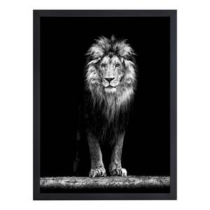 Tableau déco Beautiful Lion Hêtre massif / Plexiglas - 32 x 42 cm