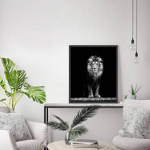 Afbeelding Beautiful Lion Massief beukenhout/plexiglas - 52 x 62 cm