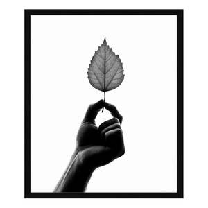 Bild Tiny Leaf Buche massiv / Plexiglas - 52 x 62 cm