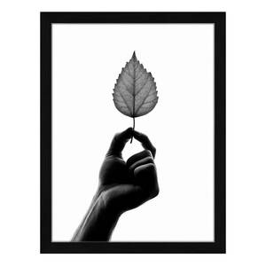 Afbeelding Tiny Leaf Massief beukenhout/plexiglas - 32 x 42 cm