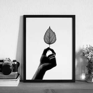 Bild Tiny Leaf Buche massiv / Plexiglas - 32 x 42 cm