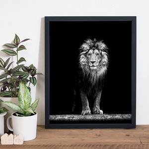 Bild Beautiful Lion Buche massiv / Plexiglas - 42 x 52 cm