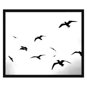 Bild Flaying Seagulls Buche massiv / Plexiglas - 62 x 52 cm