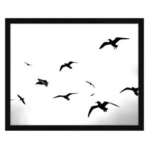 Afbeelding Flaying Seagulls Massief beukenhout/plexiglas - 52 x 42 cm