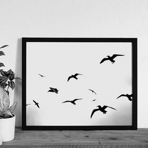 Bild Flaying Seagulls Buche massiv / Plexiglas - 52 x 42 cm