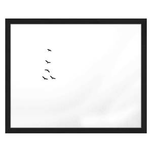 Bild Birds Flying Buche massiv / Plexiglas - 52 x 42 cm