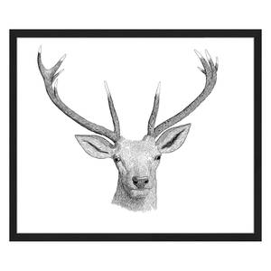 Bild Oh Deer Buche massiv / Plexiglas - 62 x 52 cm