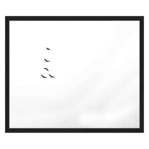 Bild Birds Flying Buche massiv / Plexiglas - 62 x 52 cm