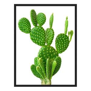 Bild Cactus Buche massiv / Plexiglas - 62 x 82 cm
