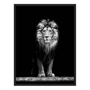 Afbeelding Beautiful Lion Massief beukenhout/plexiglas - 62 x 82 cm