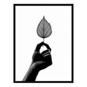 Afbeelding Tiny Leaf Massief beukenhout/plexiglas - 62 x 82 cm