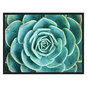 Afbeelding Arrangement of the Succulents Massief beukenhout/plexiglas - 82 x 62 cm