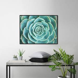 Afbeelding Arrangement of the Succulents Massief beukenhout/plexiglas - 82 x 62 cm