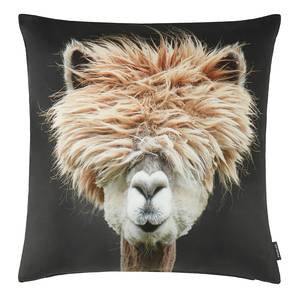 Housse de coussin Pitu Coton - Noir / Beige