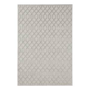 Tapis Caine Fibres synthétiques - Gris clair - 80 x 125 cm