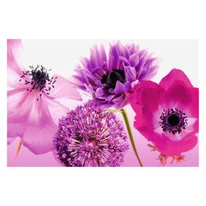 Tableau déco Flowers Papier / MDF - Violet