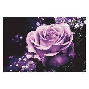 Tableau déco Pretty Rose Papier / MDF - Violet