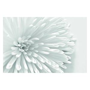 Tableau déco cœur de fleur Papier / MDF - Blanc