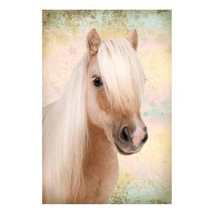 Bild Pony Papier / MDF - Braun