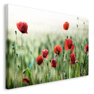 Bild Wilder Mohn Papier / MDF - Grün